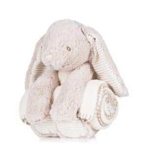 Visuel Peluche Lapin & couverture