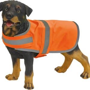 Visuel Gilet réfléchissant pour chien