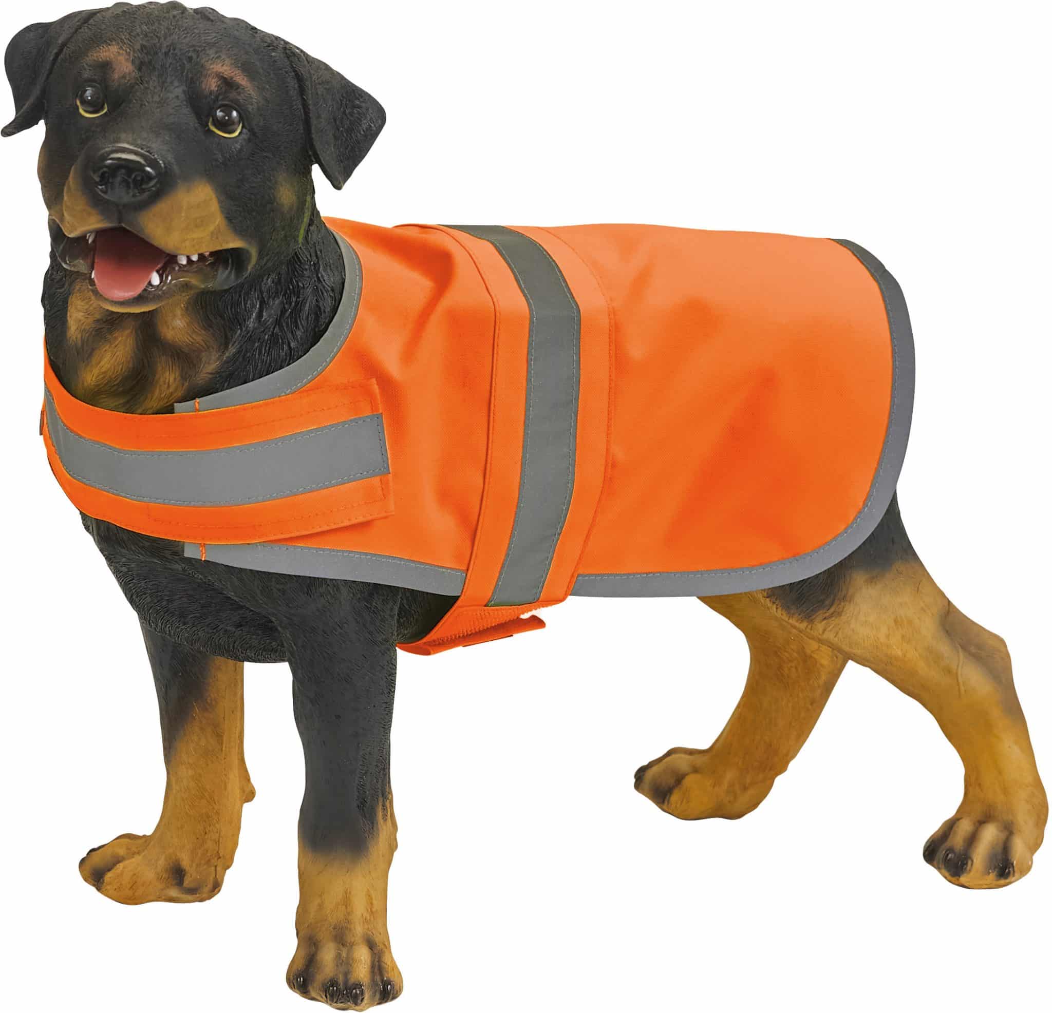 Miniature 1 pour Gilet réfléchissant pour chien