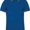 light-royal-blue-red-white