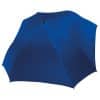 royal-blue