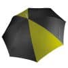black-burnt-lime