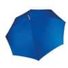 royal-blue