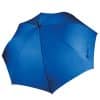 royal-blue