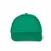 kelly-green
