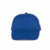 royal-blue