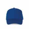 royal-blue