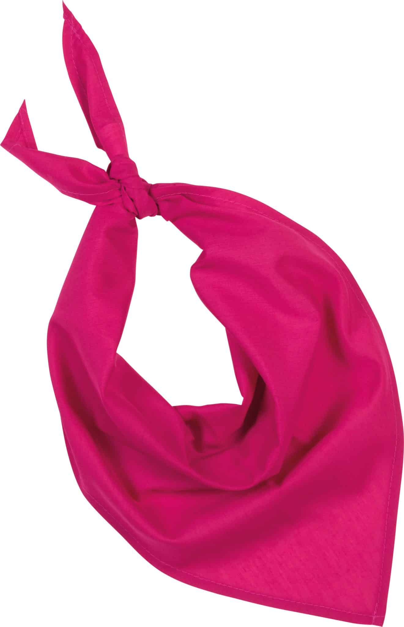 Miniature 6 pour Fiesta - Bandana