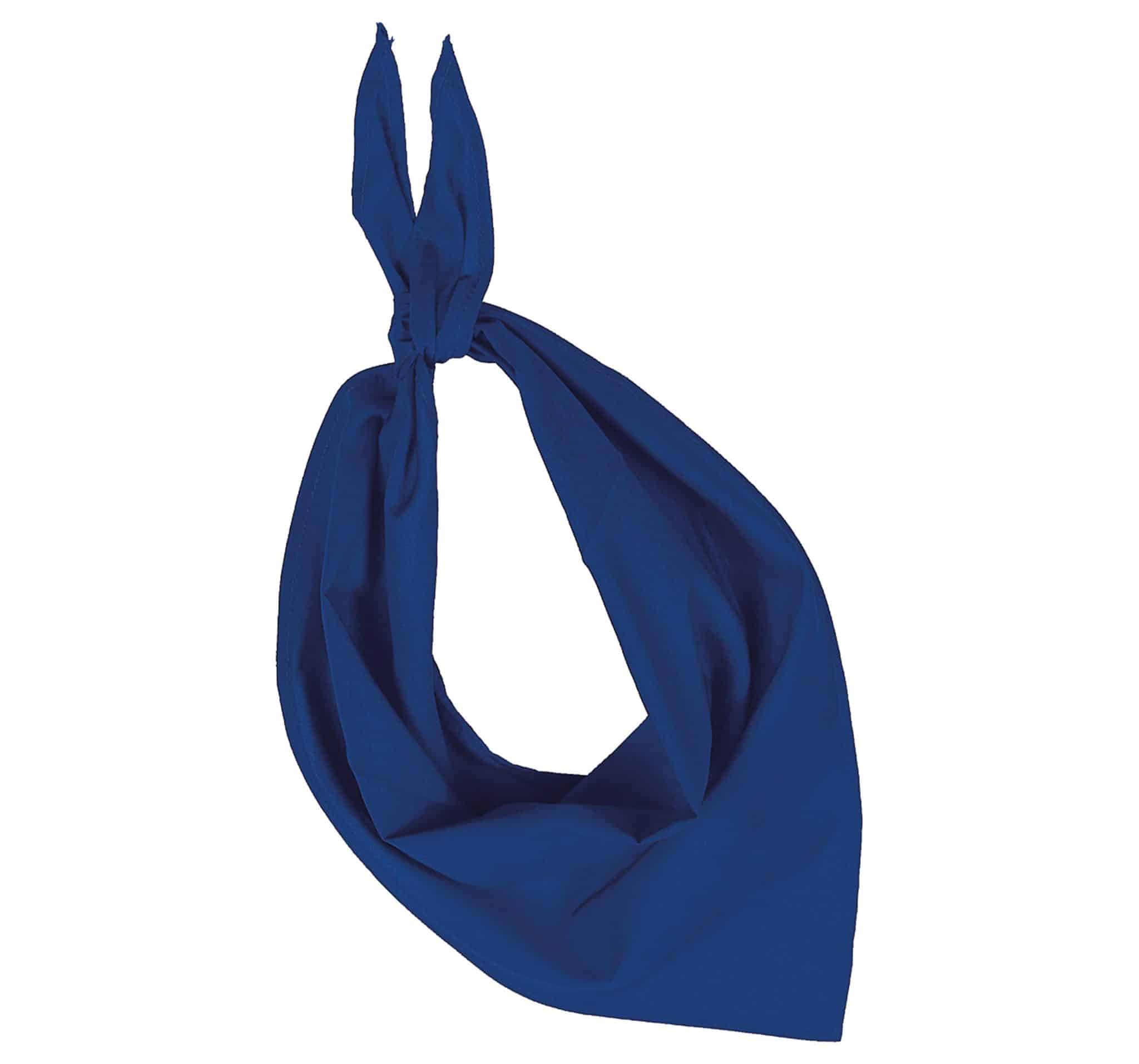 Miniature 19 pour Fiesta - Bandana
