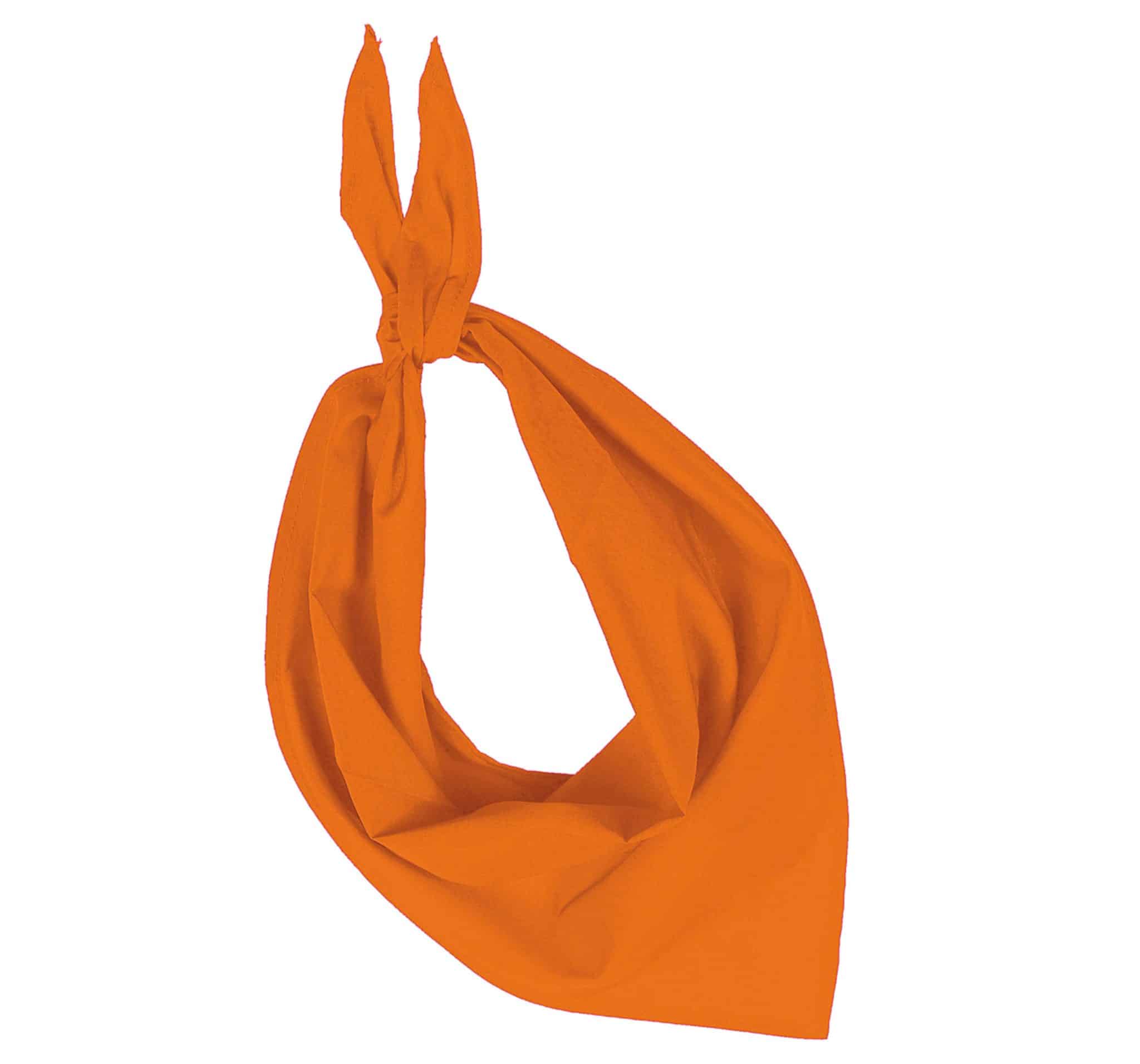 Miniature 10 pour Fiesta - Bandana