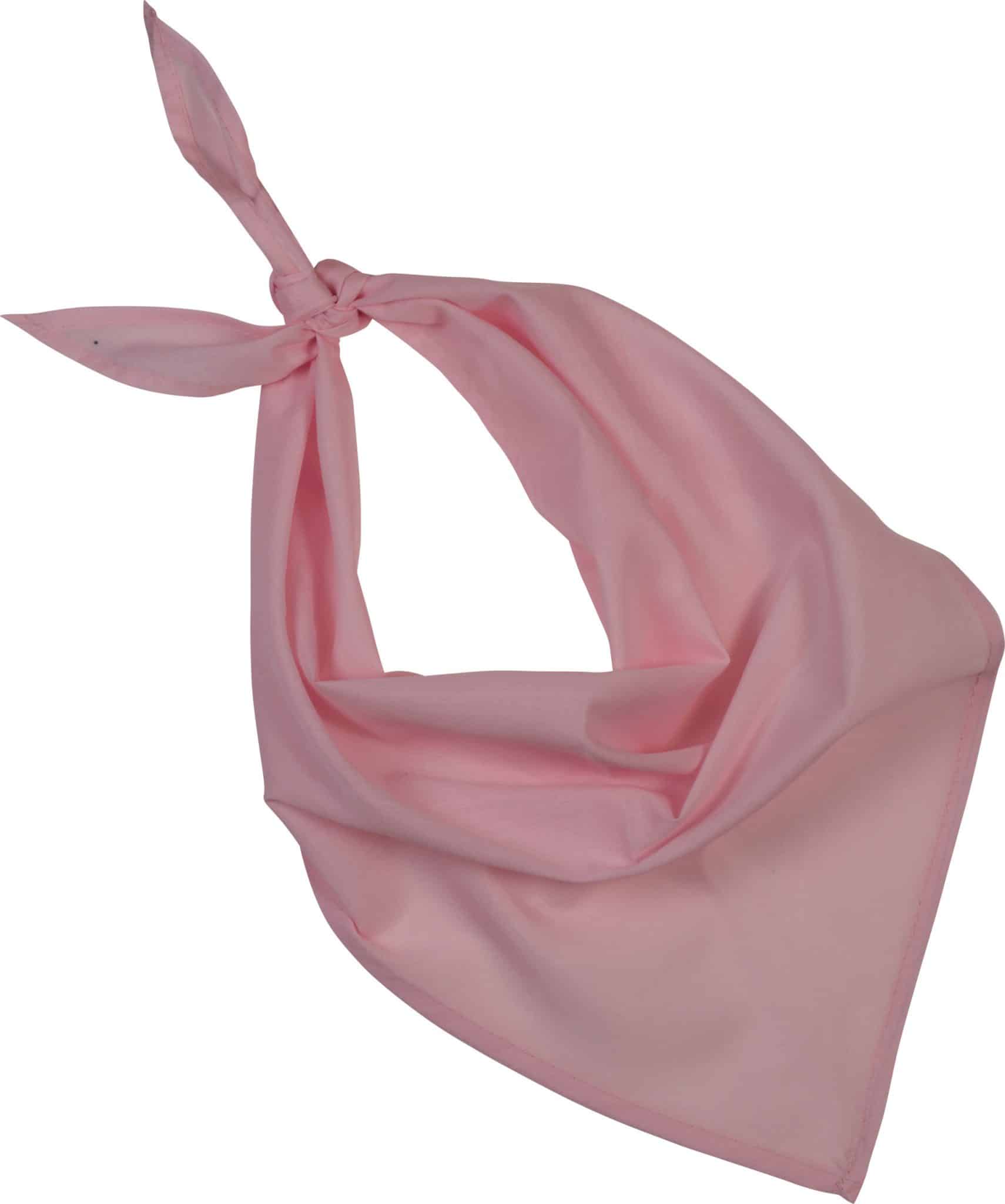 Miniature 11 pour Fiesta - Bandana