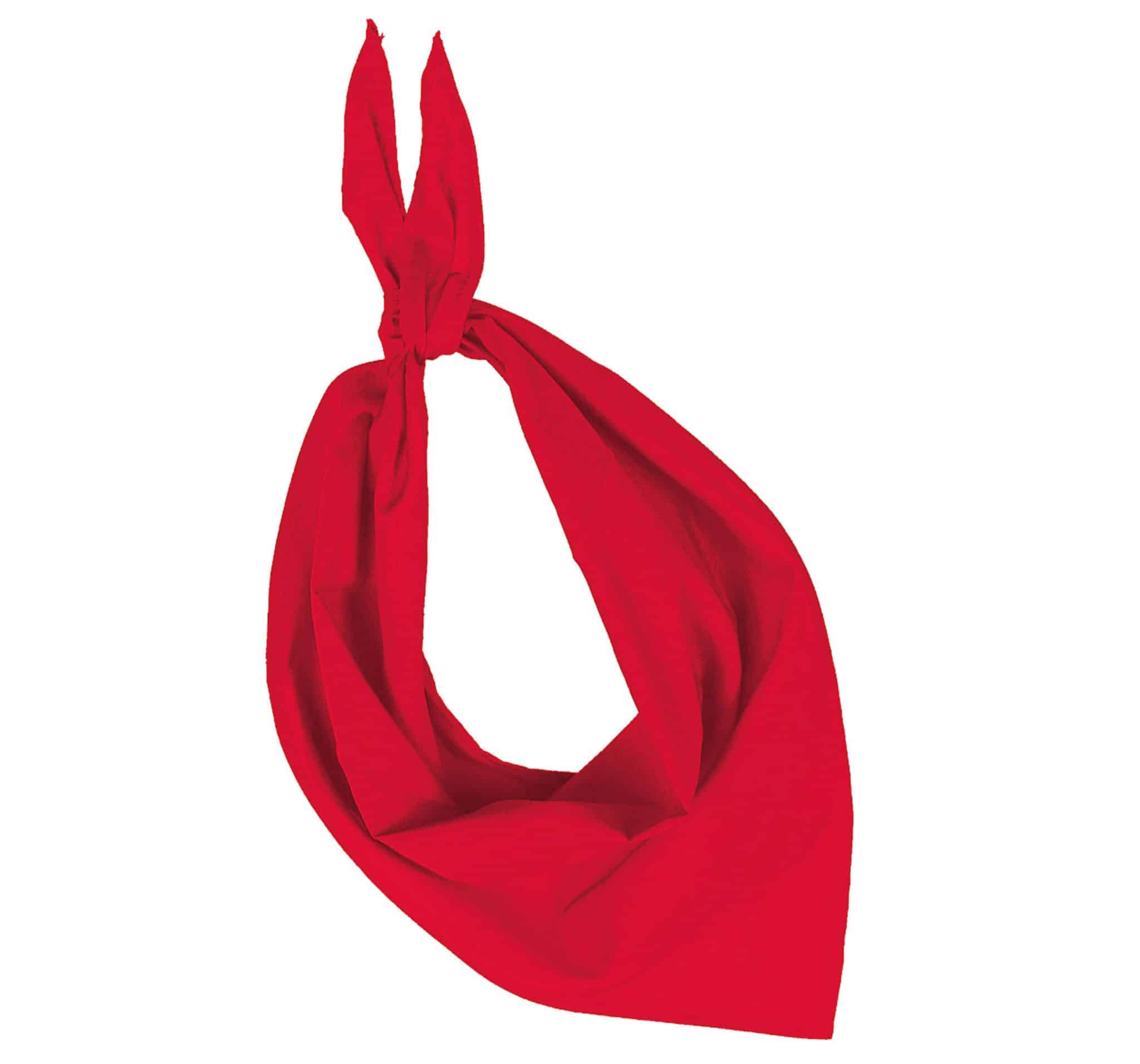 Miniature 13 pour Fiesta - Bandana