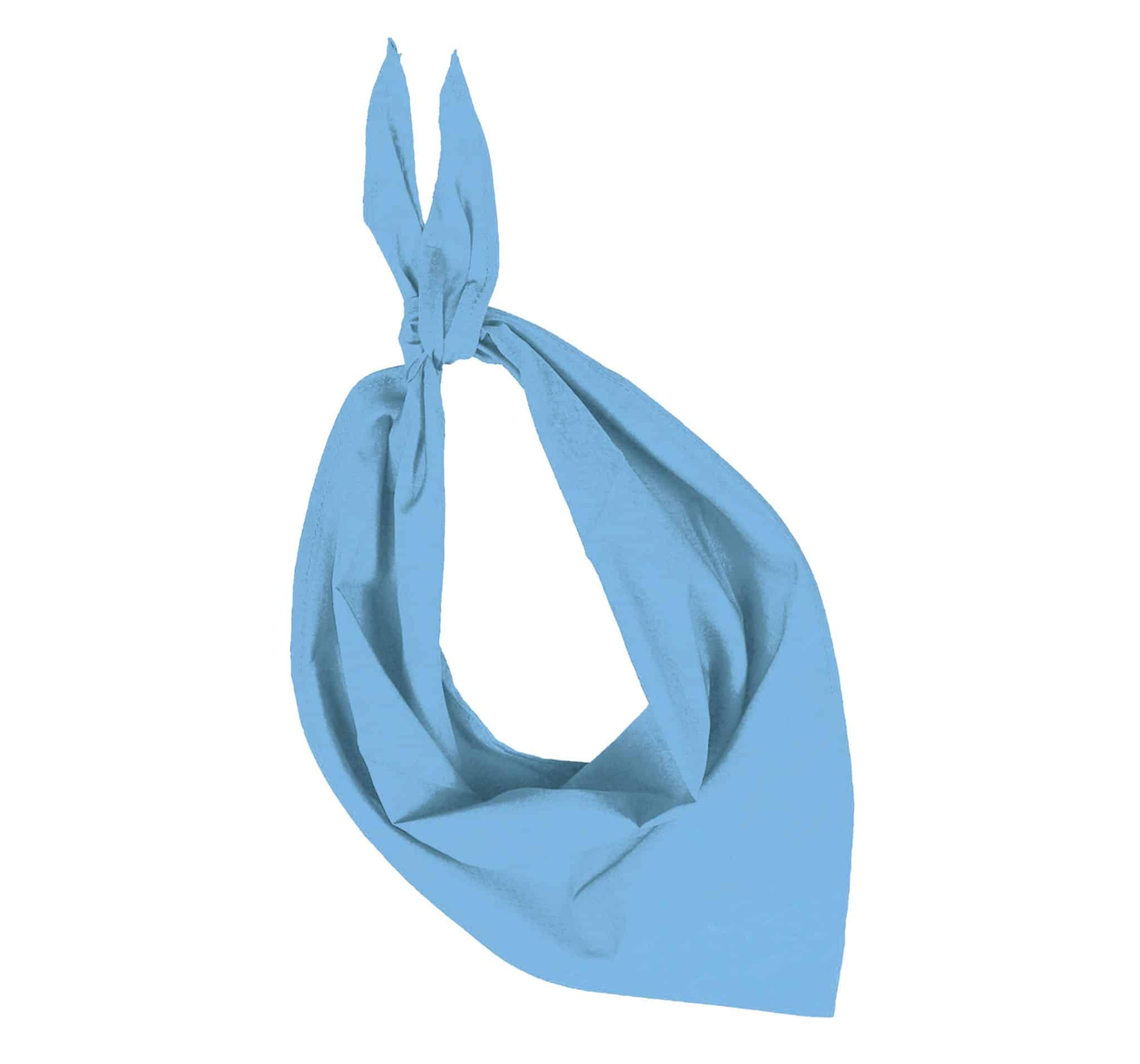 Miniature 14 pour Fiesta - Bandana