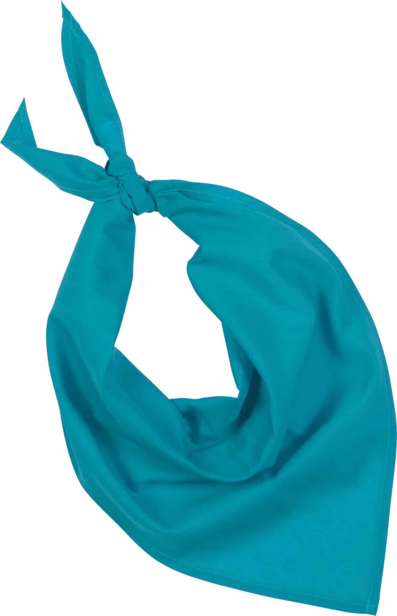 Miniature 15 pour Fiesta - Bandana
