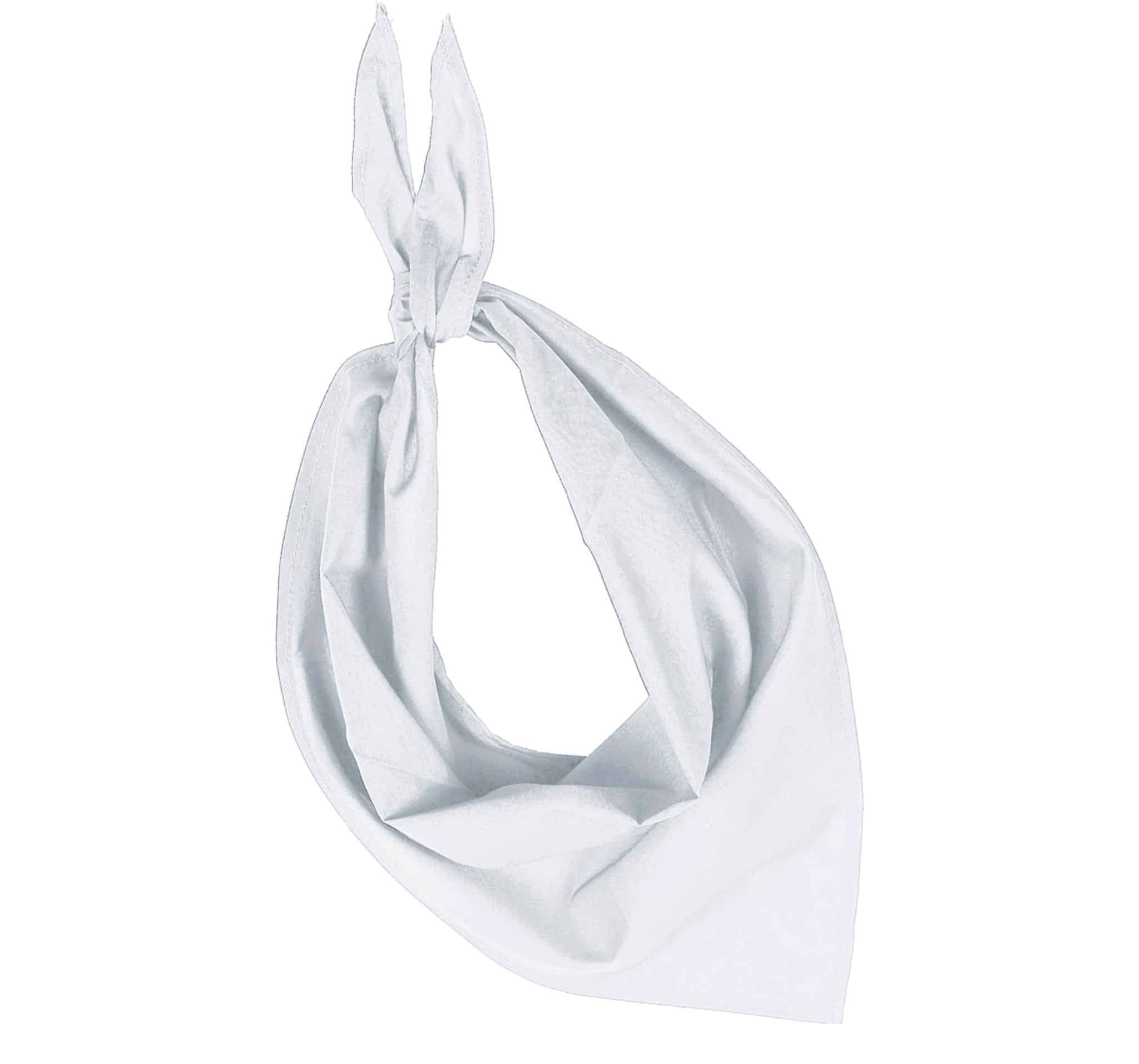 Miniature 16 pour Fiesta - Bandana