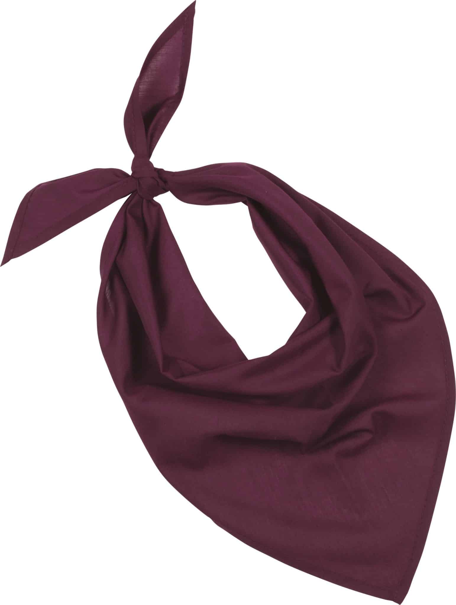 Miniature 17 pour Fiesta - Bandana