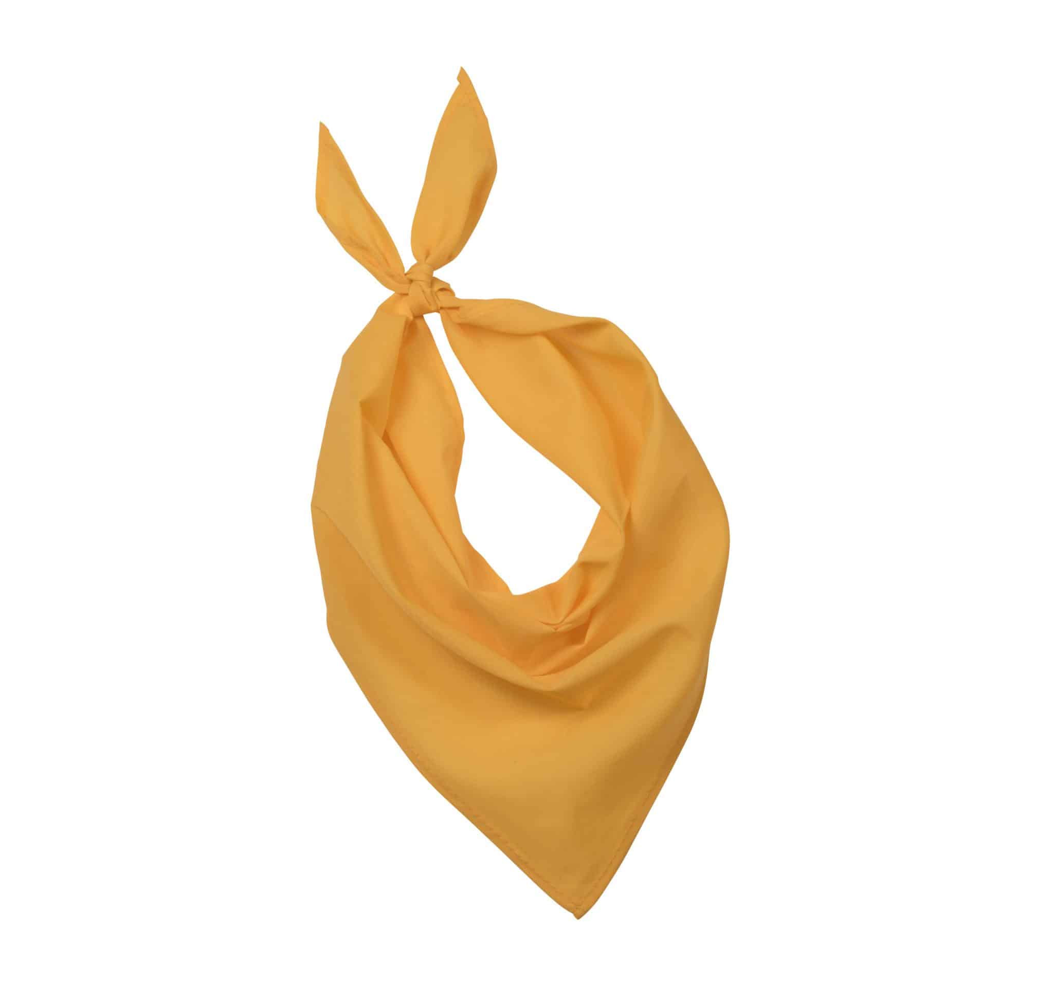 Miniature 18 pour Fiesta - Bandana