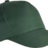 forest-green