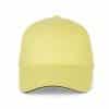 lemon-yellow-dark-grey