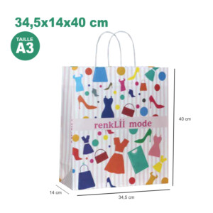 Visuel Sac papier kraft Offset Taille A3