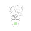 Pot de fleurs 1