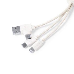 Visuel Câble du Chargeur Carezoke - personnalisable