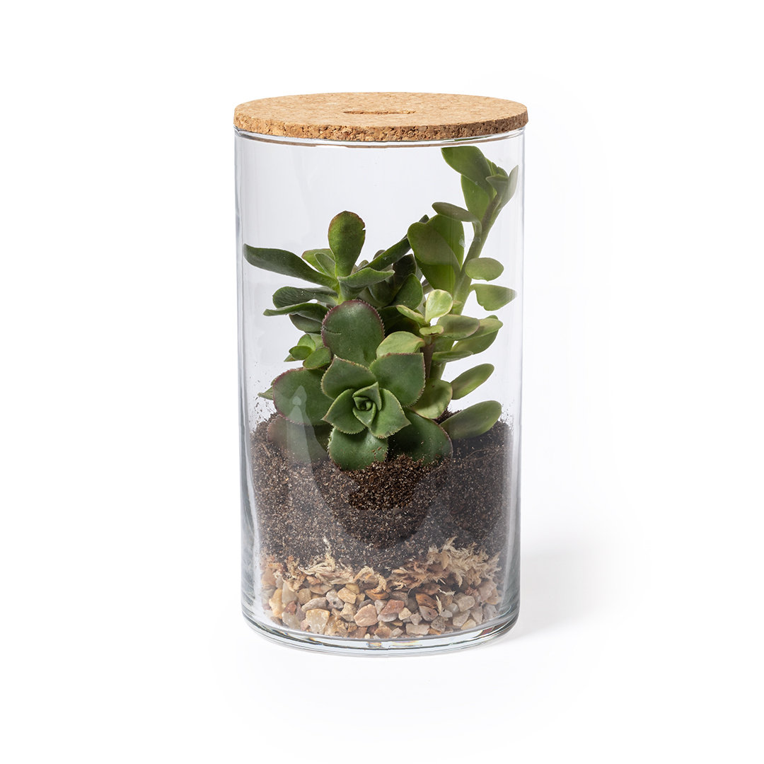 Miniature 1 pour Terrarium Kadepe - personnalisable