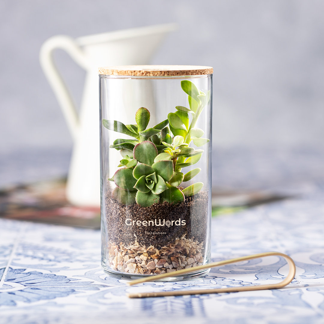 Miniature 3 pour Terrarium Kadepe - personnalisable