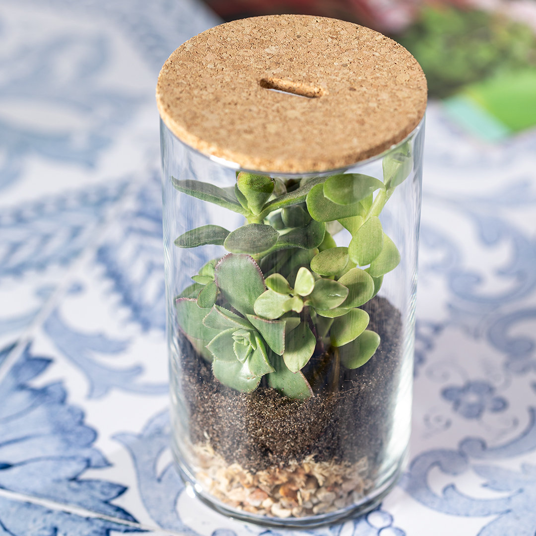 Miniature 4 pour Terrarium Kadepe - personnalisable