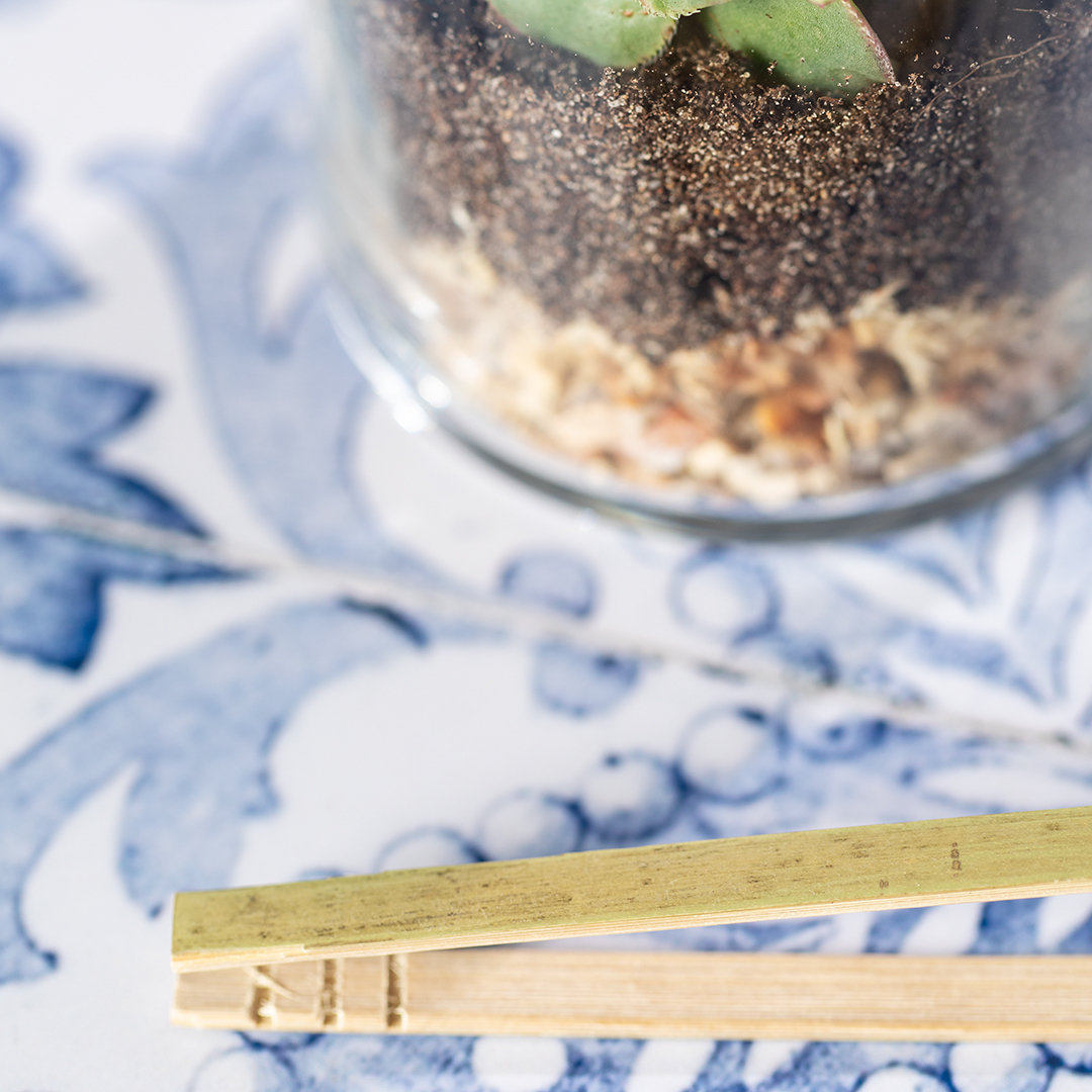 Miniature 5 pour Terrarium Kadepe - personnalisable