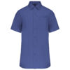 cobalt-blue