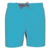 light-turquoise