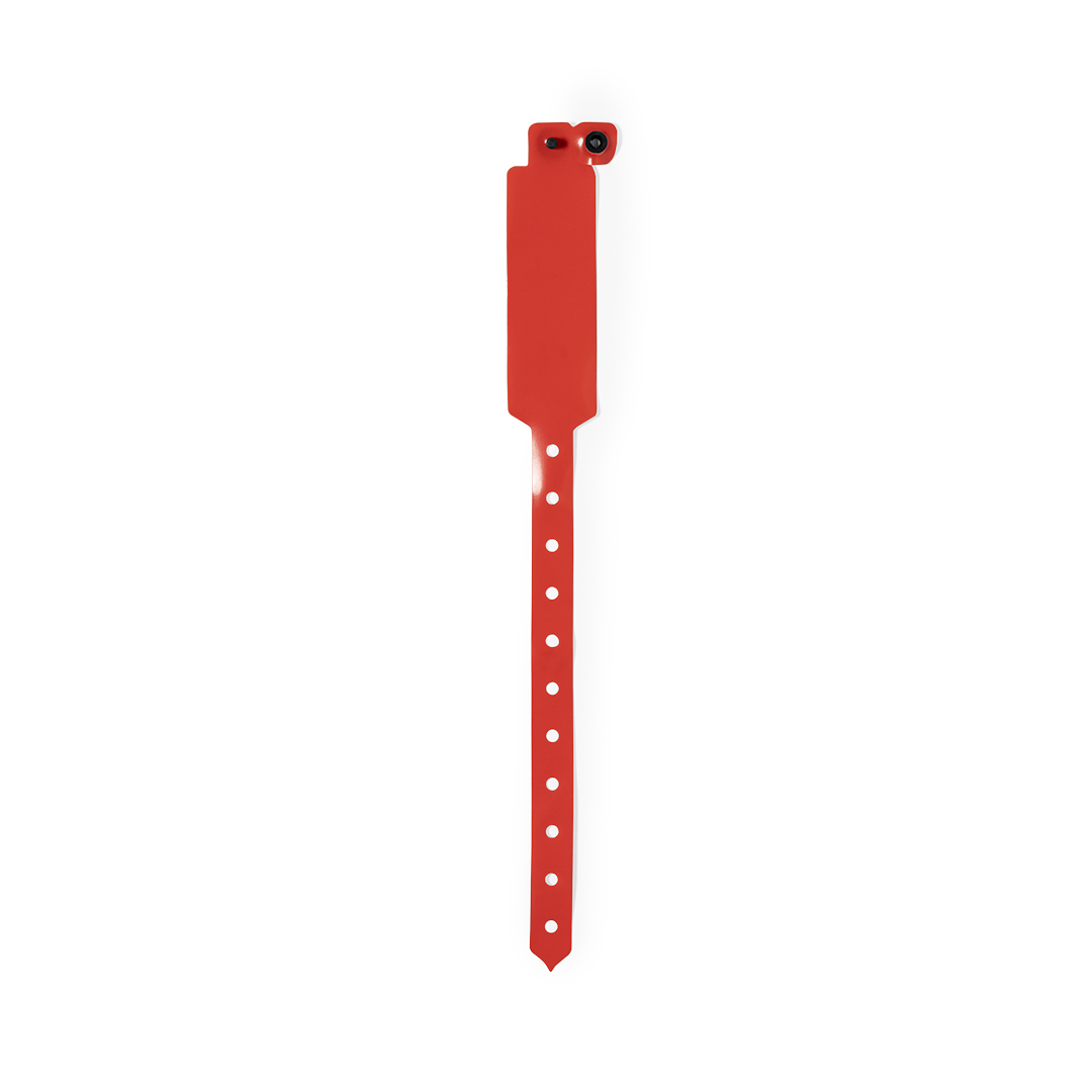 Miniature 4 pour Bracelet Hegewune - personnalisable