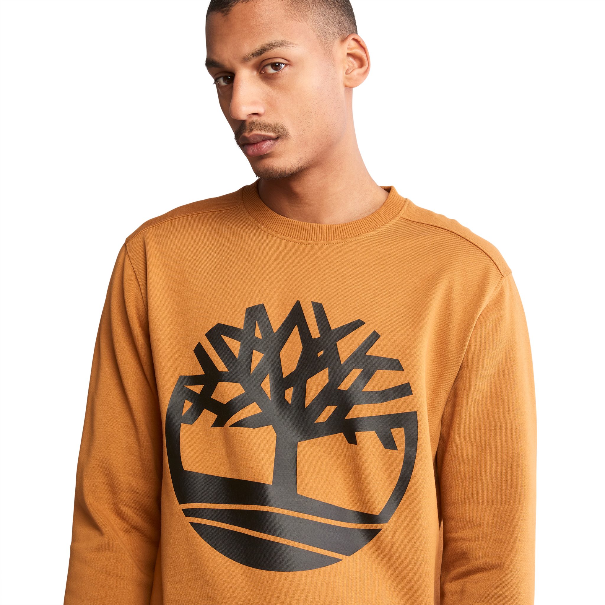 Miniature 6 pour Sweatshirt core tree col rond