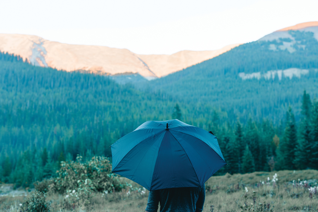 Miniature 10 pour Parapluie 25"ultra-léger et manuel Swiss Peak Aware™