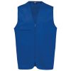 royal-blue