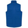 royal-blue