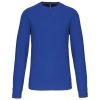 light-royal-blue