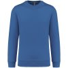 light-royal-blue