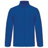royal-blue