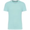 ice-mint