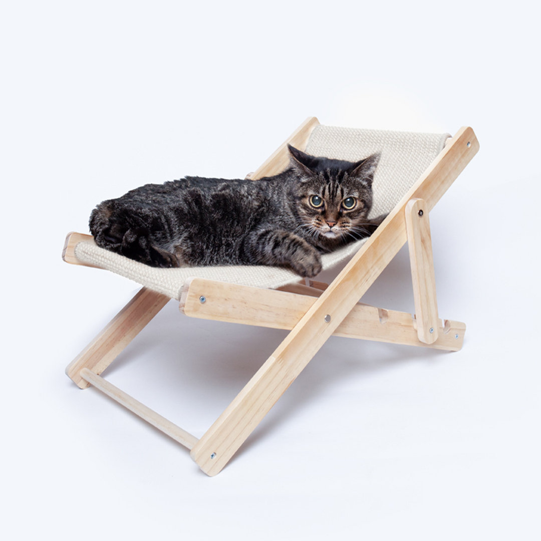 Miniature 6 pour Chaise dAnimaux de Compagnie Wutoru - personnalisable