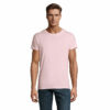 rose-pale