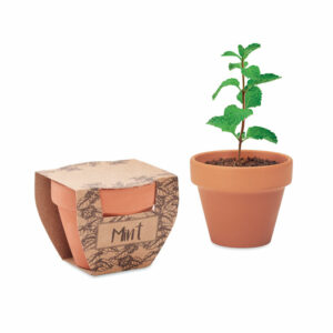 Visuel Mint pot
