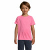 rose-fluo-2