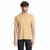 beige-fonce