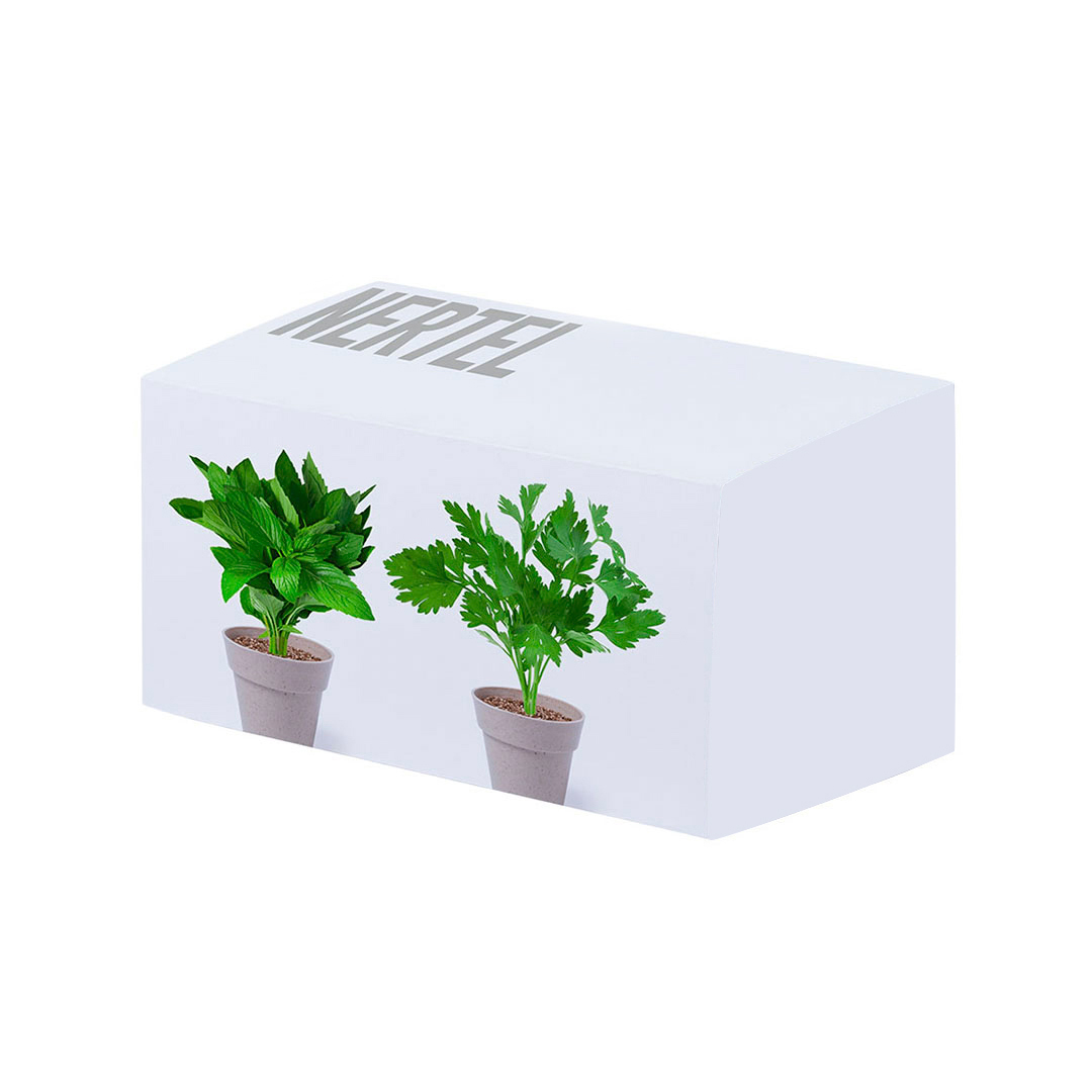 Miniature 6 pour Set Pot de Fleurs Hinunudu - personnalisable