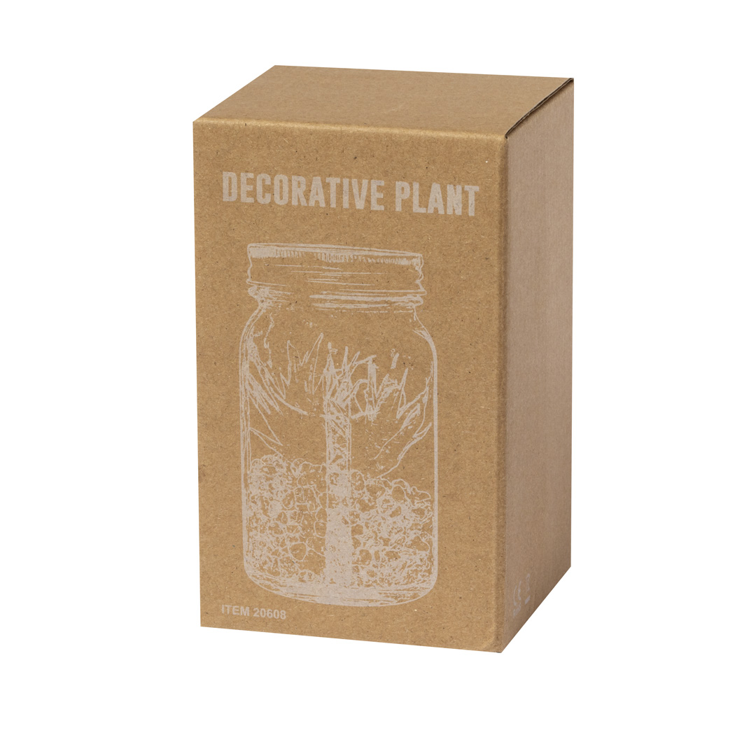 Miniature 6 pour Plante Décorative Teledo - personnalisable