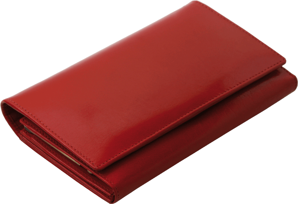 Miniature 6 pour Portefeuille anti-RFID  33001301
