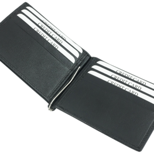 Visuel Portefeuille 38005201